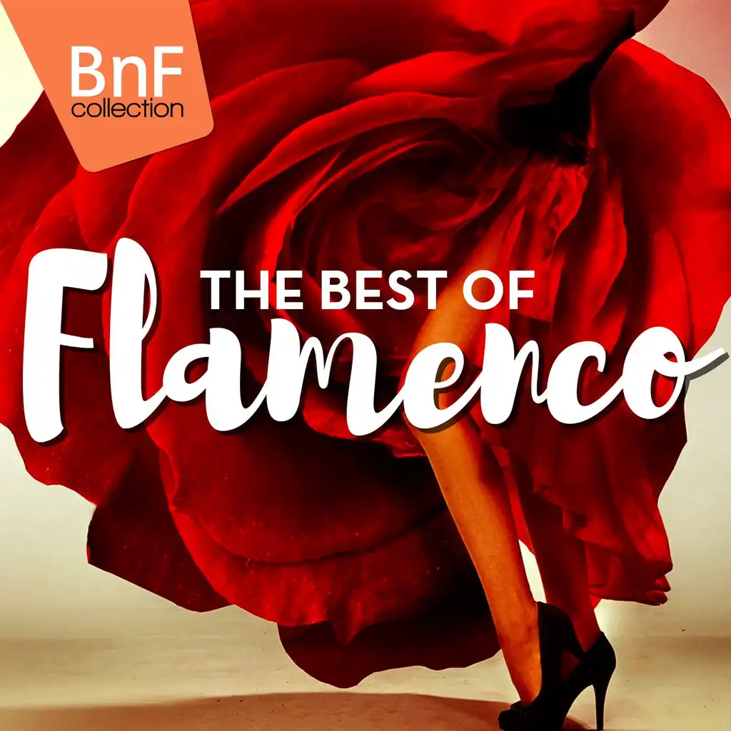 The Best of Flamenco (Antonio Molina, Niño Rocardo, Rafael Farina...)