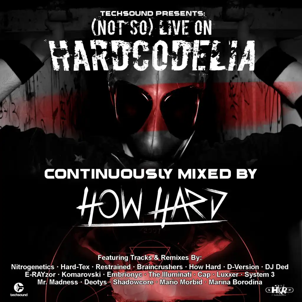 (Not So) Live on Hardcodelia Colombia (Continuously Mixed by How Hard)