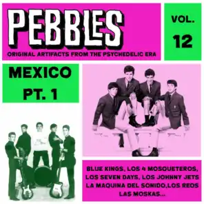Pebbles Vol. 12, Mexico Pt. 1, Originals Artifacts From The Psychedelic Era