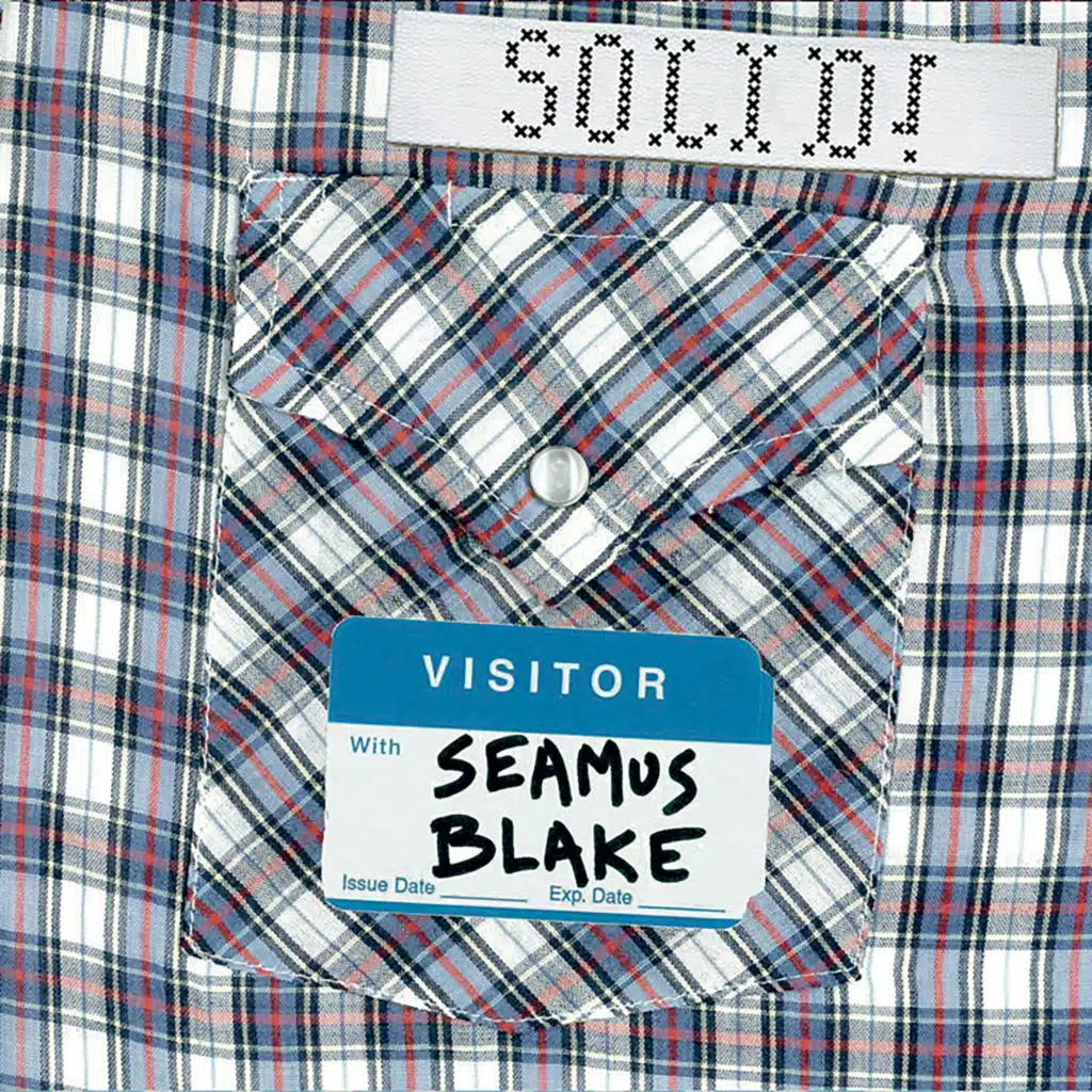 Visitor (feat. Seamus Blake)