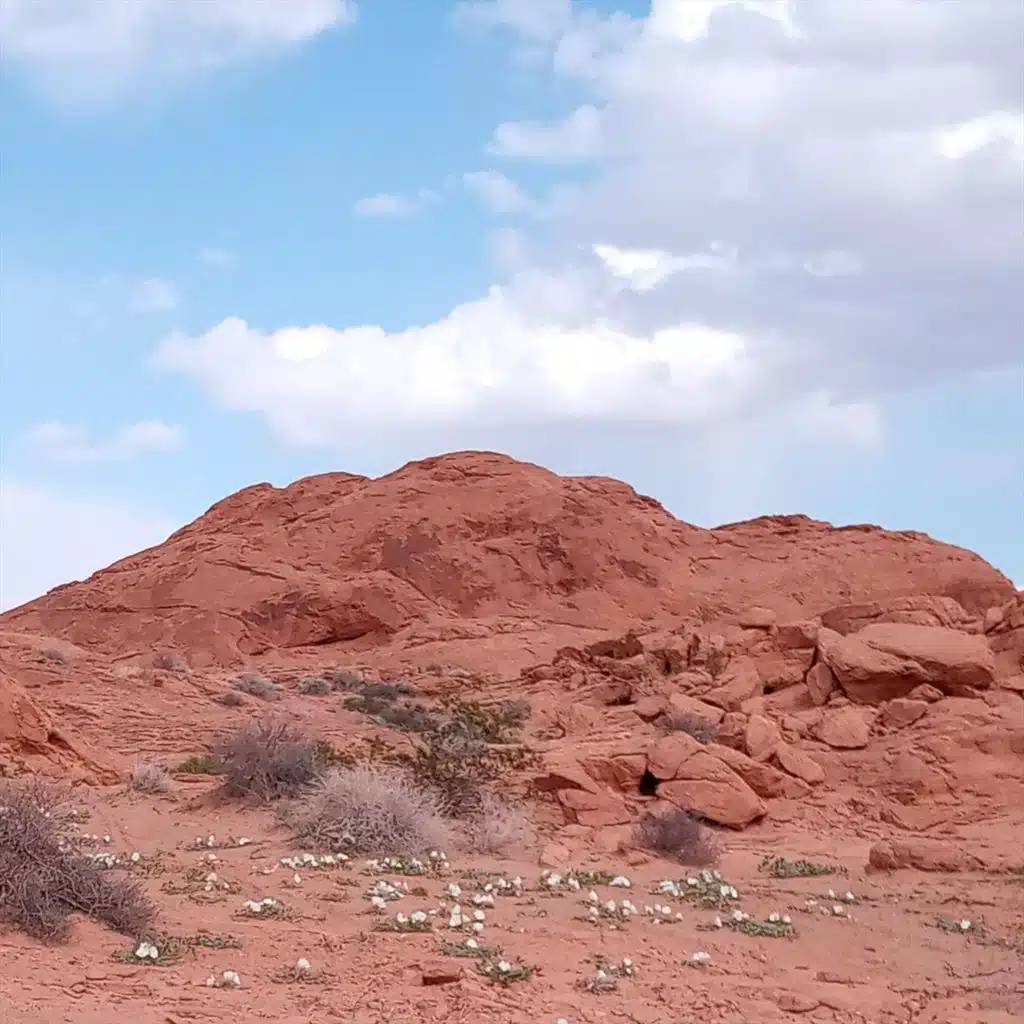 Born with the Music Playing