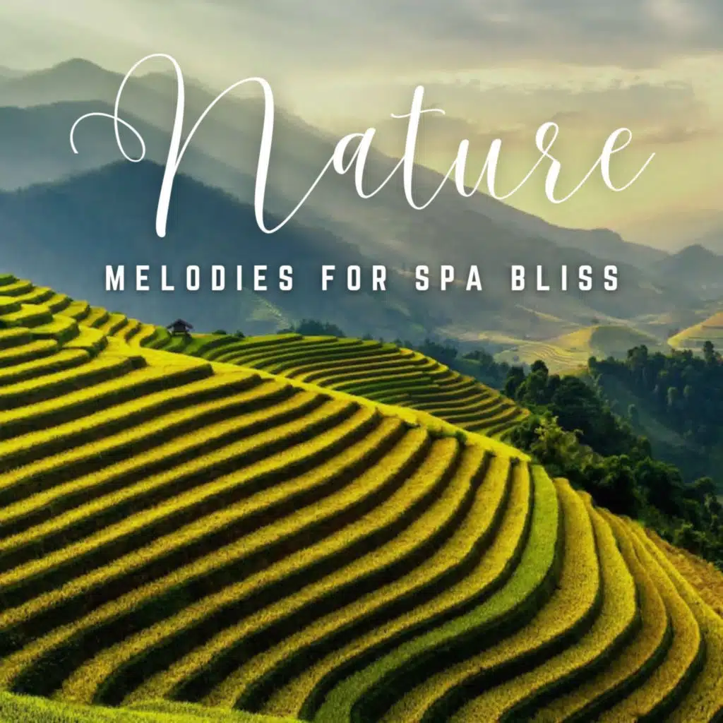 Enriching Spa Escapes