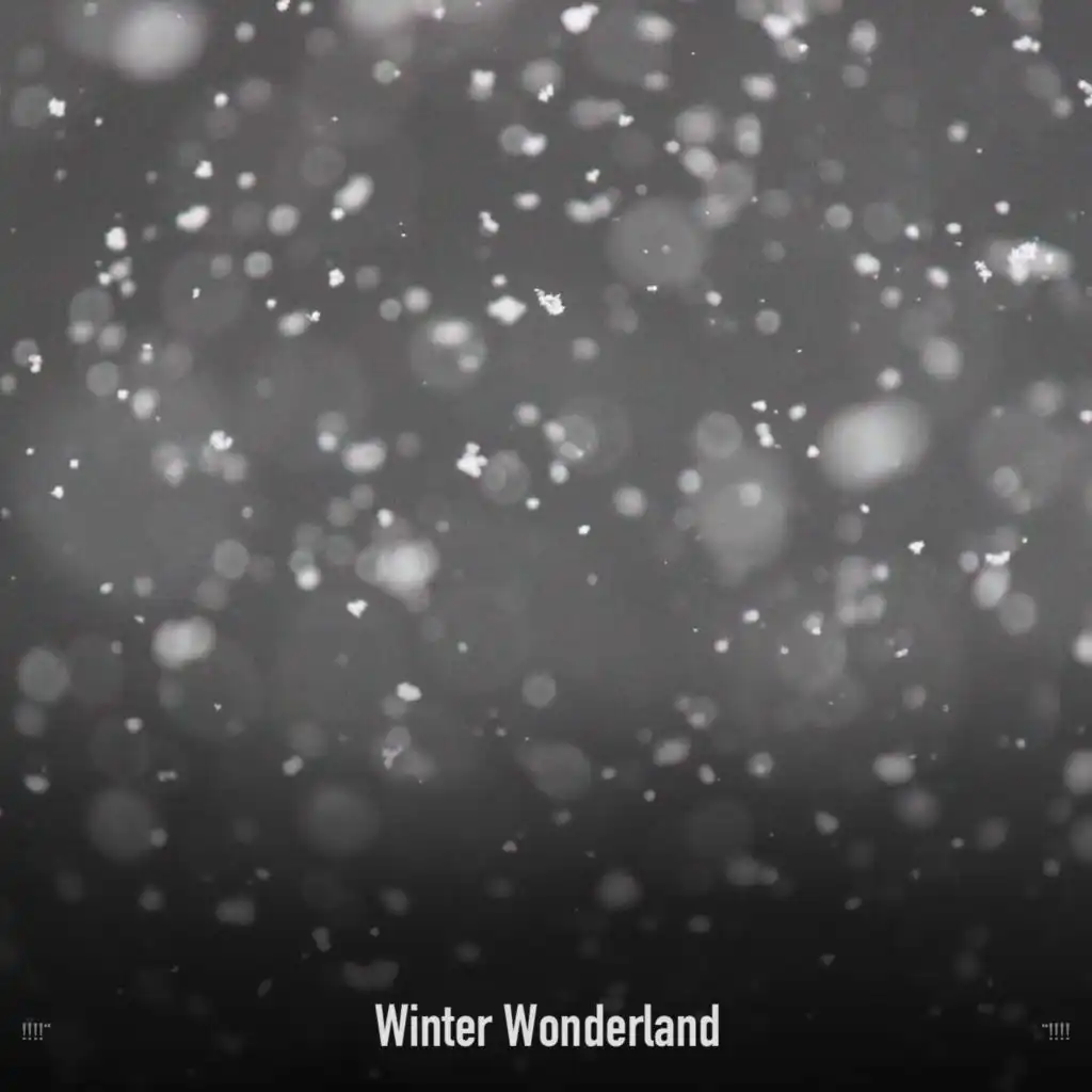!!!!" Winter Wonderland "!!!!