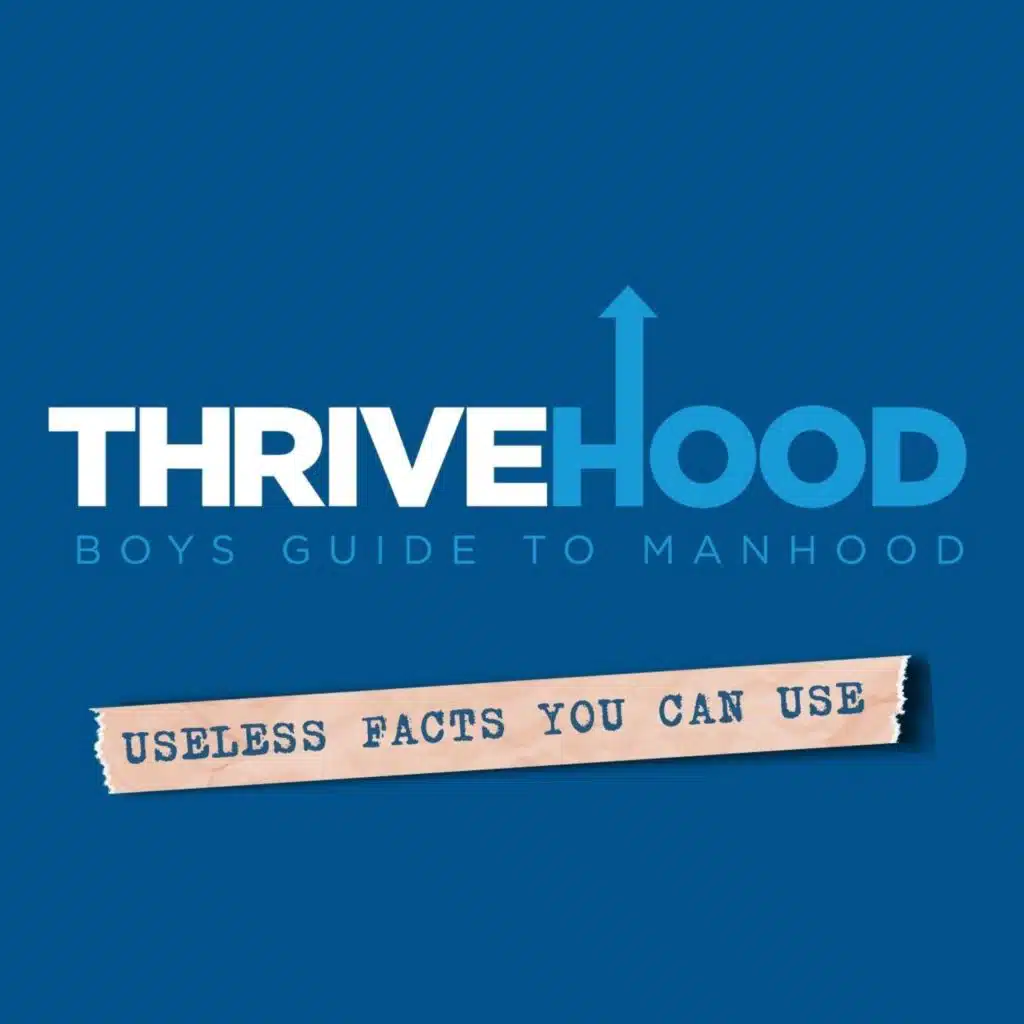 UFYCU:  Sleepy Snails