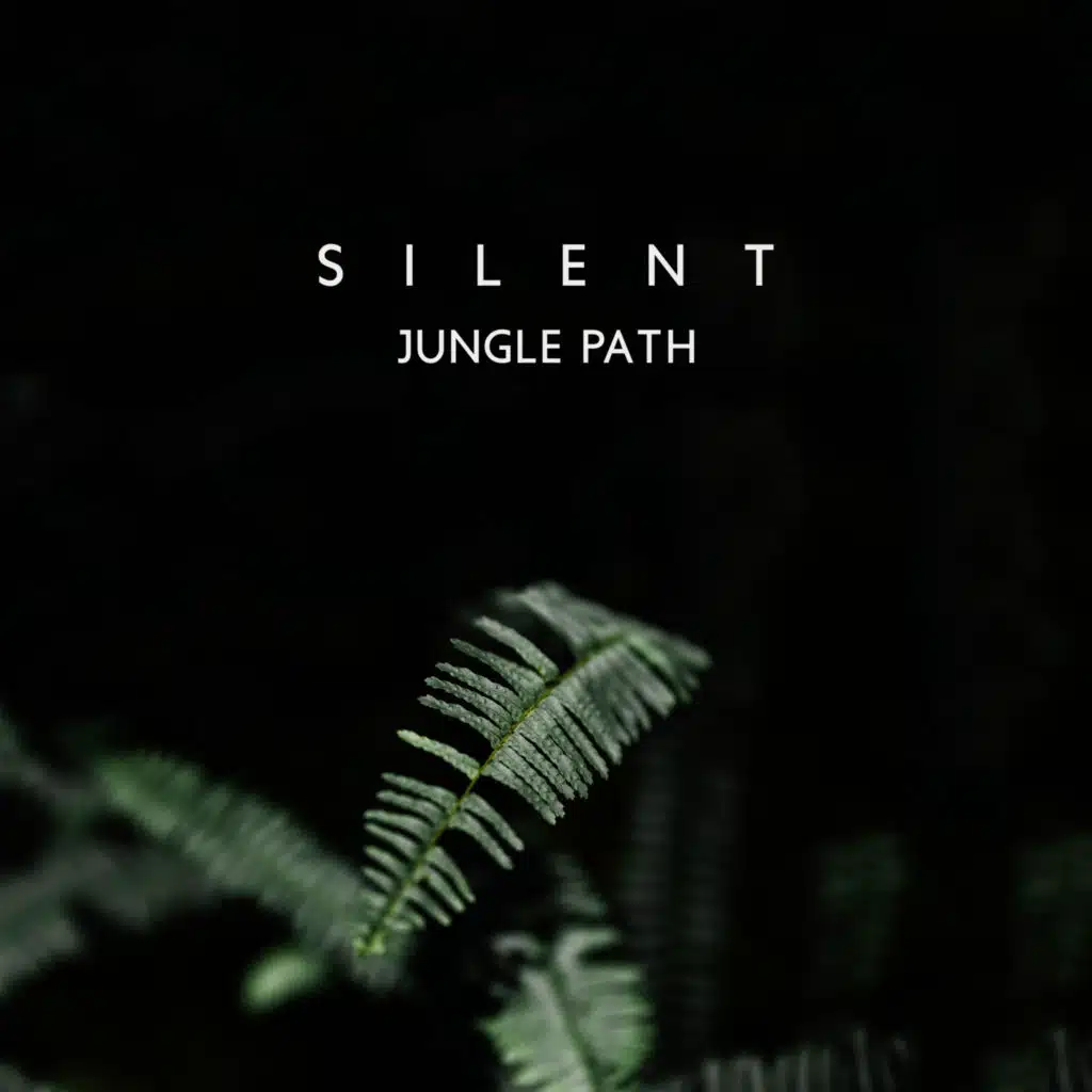 Silent Jungle Path: Imagine Walking in Jungle Forest, Nature Path to Relaxation