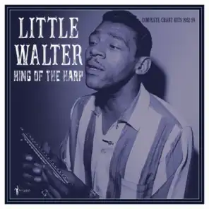 Little Walter and the Night Cats