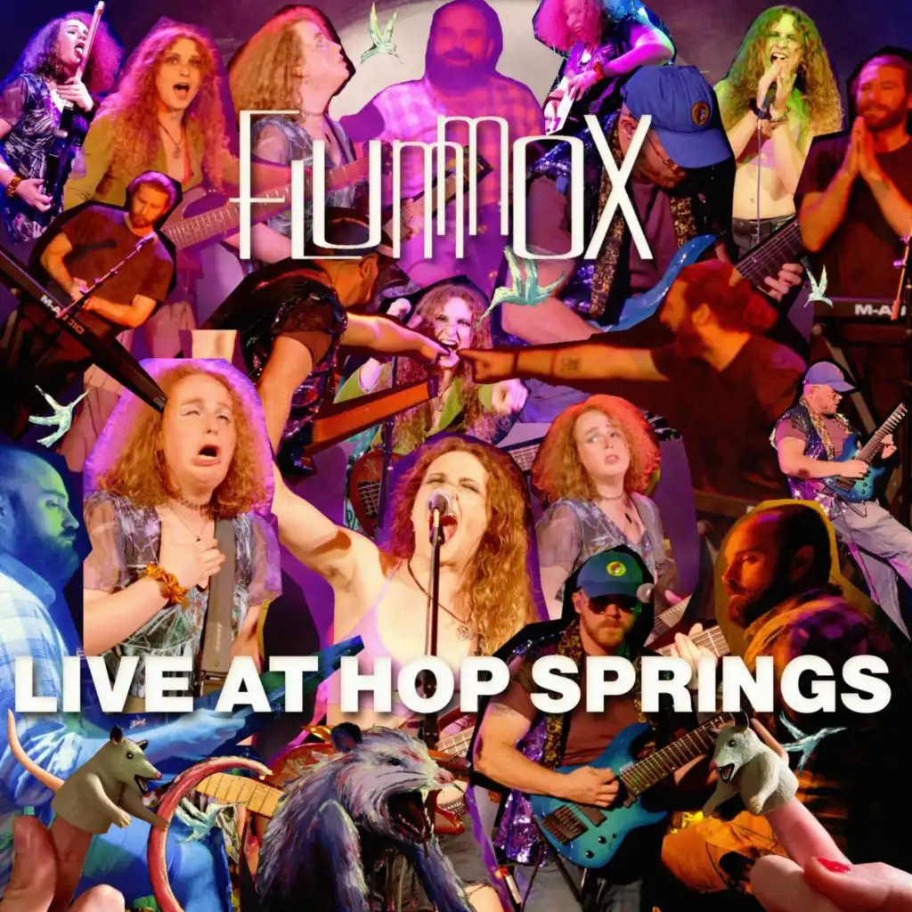 Hummingbird Anthem (Live)