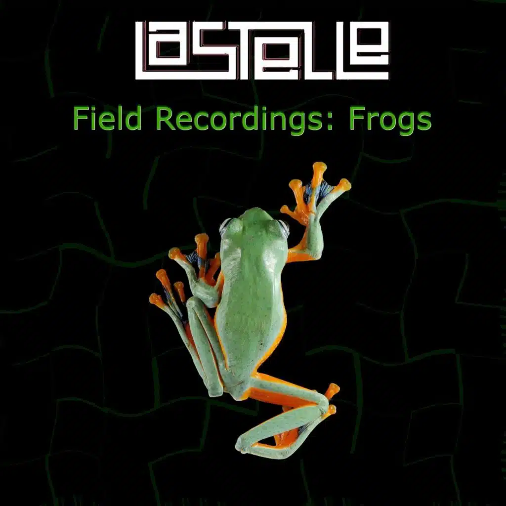 Field Recordings: Frogs