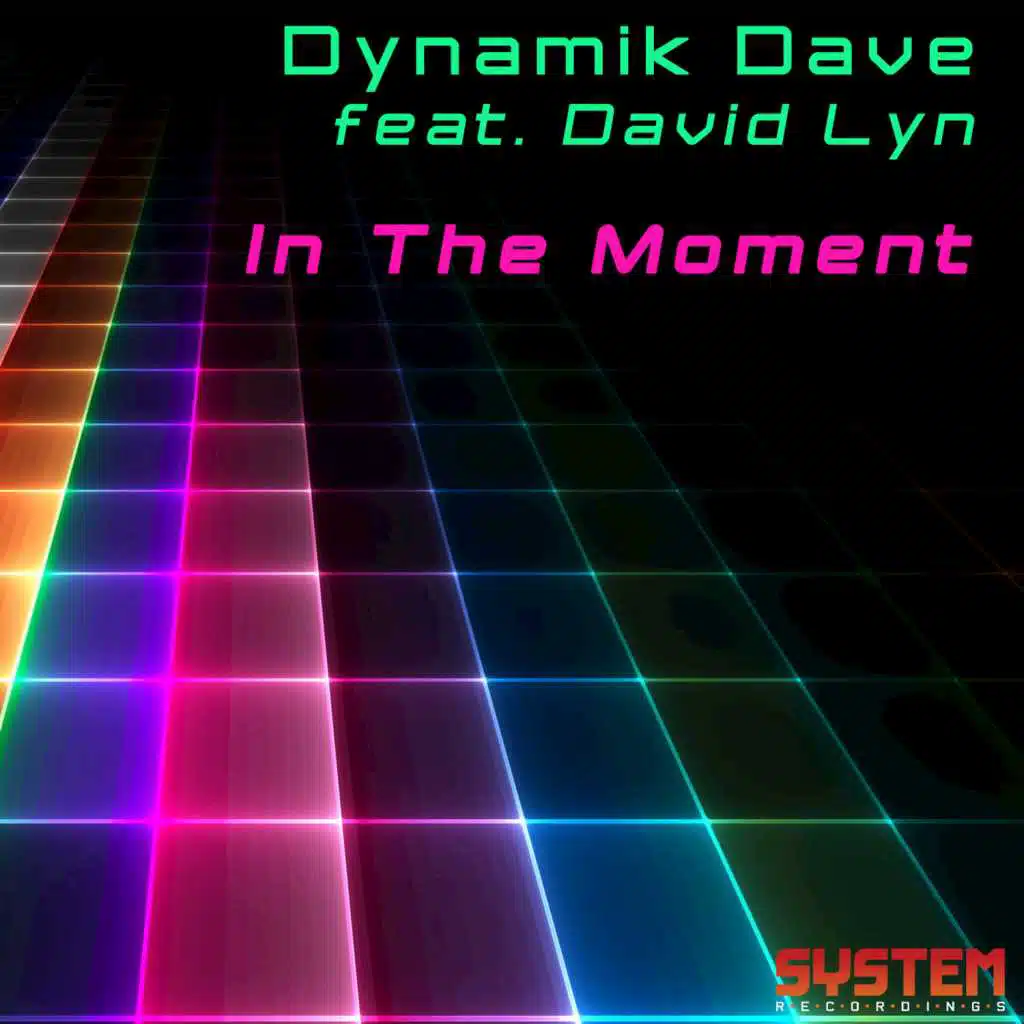 In the Moment (feat. David Lyn)