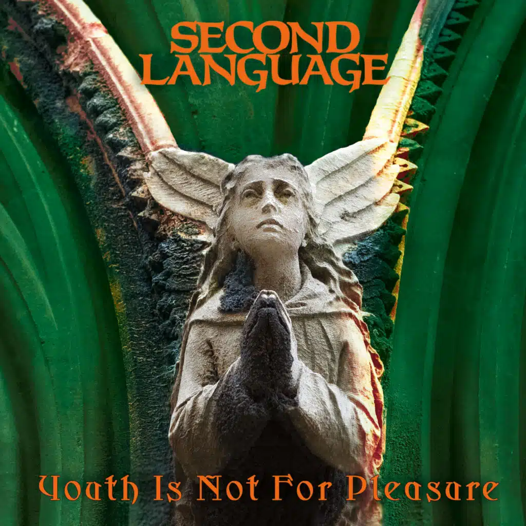 Youth Is Not For Pleasure