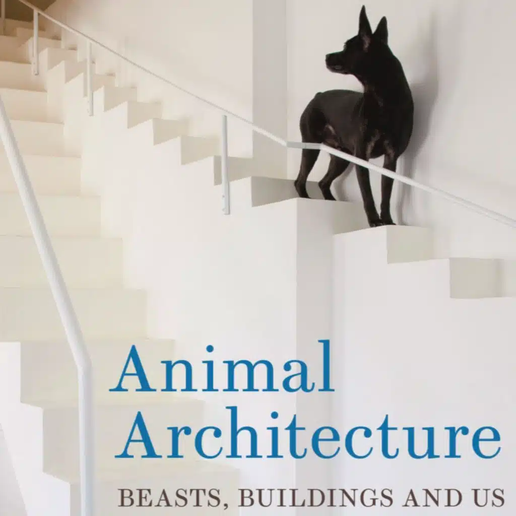 Paul Dobraszczyk: Animals and architecture