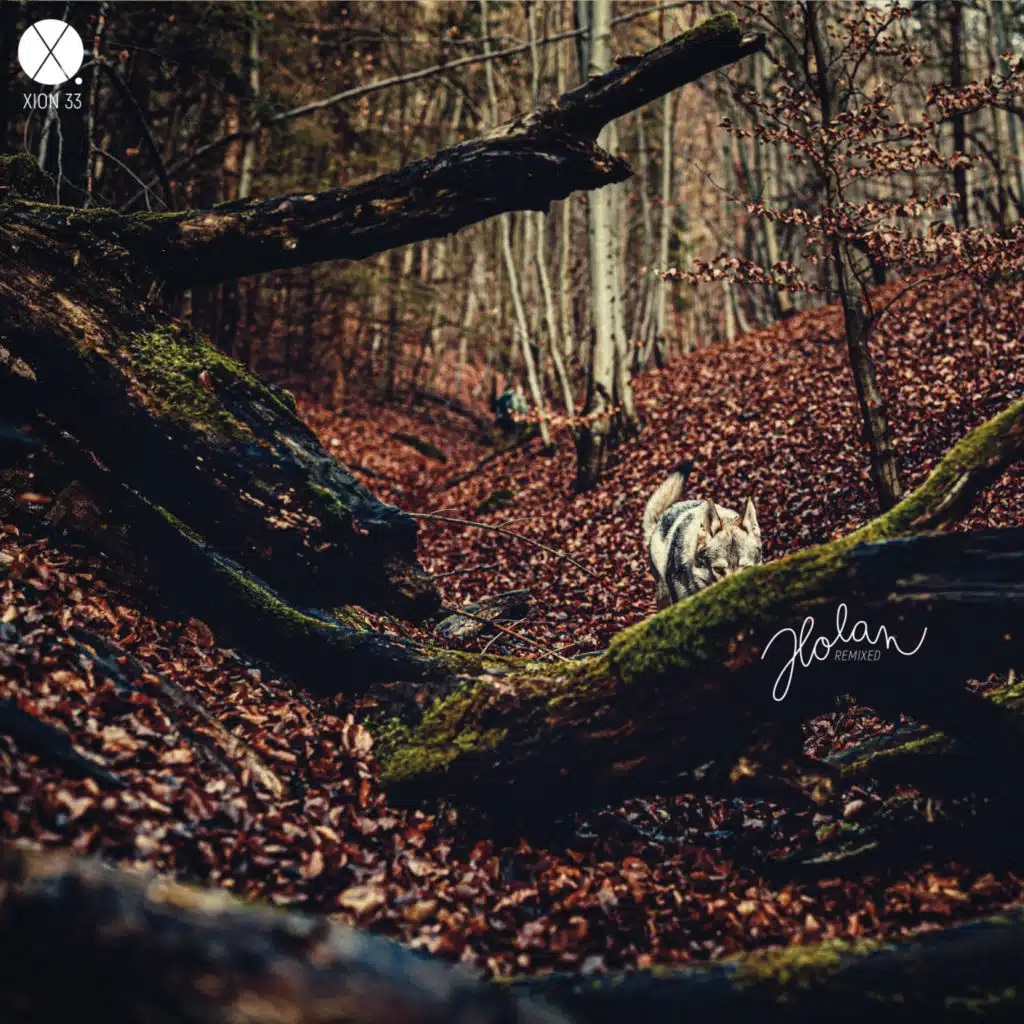 Dleeb, Ahz & Michael Klansky