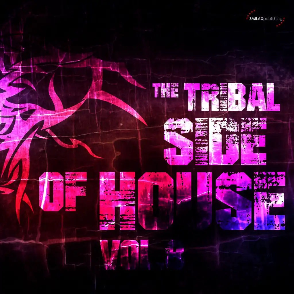 The Tribal Side of House, Vol. 8