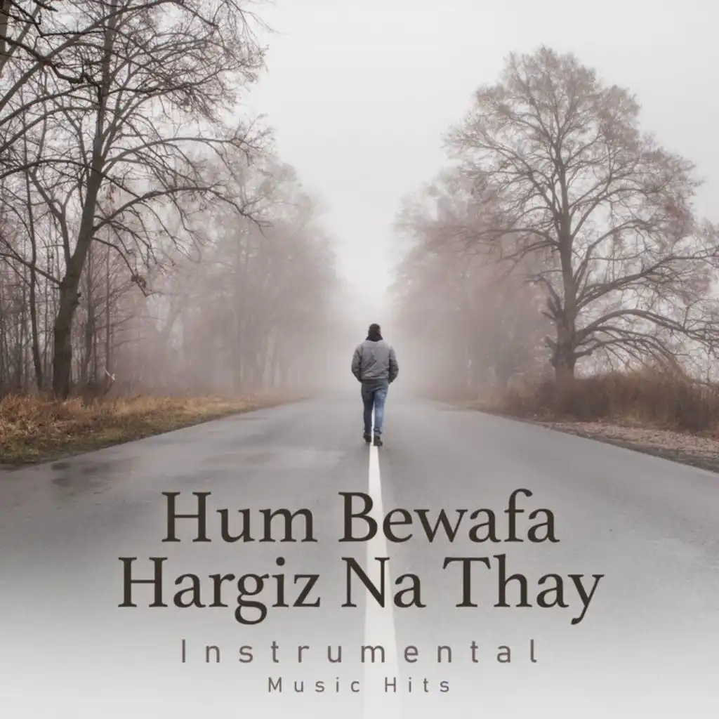 Hum Bewafa Hargiz Na Thay (From "Shalimar" / Instrumental Music Hits)