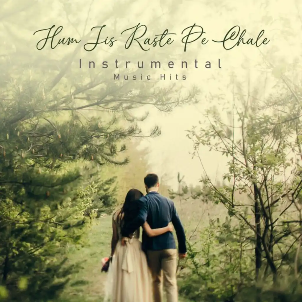 Hum Jis Raste Pe Chale (From "Teri Kasam" / Instrumental Music Hits)