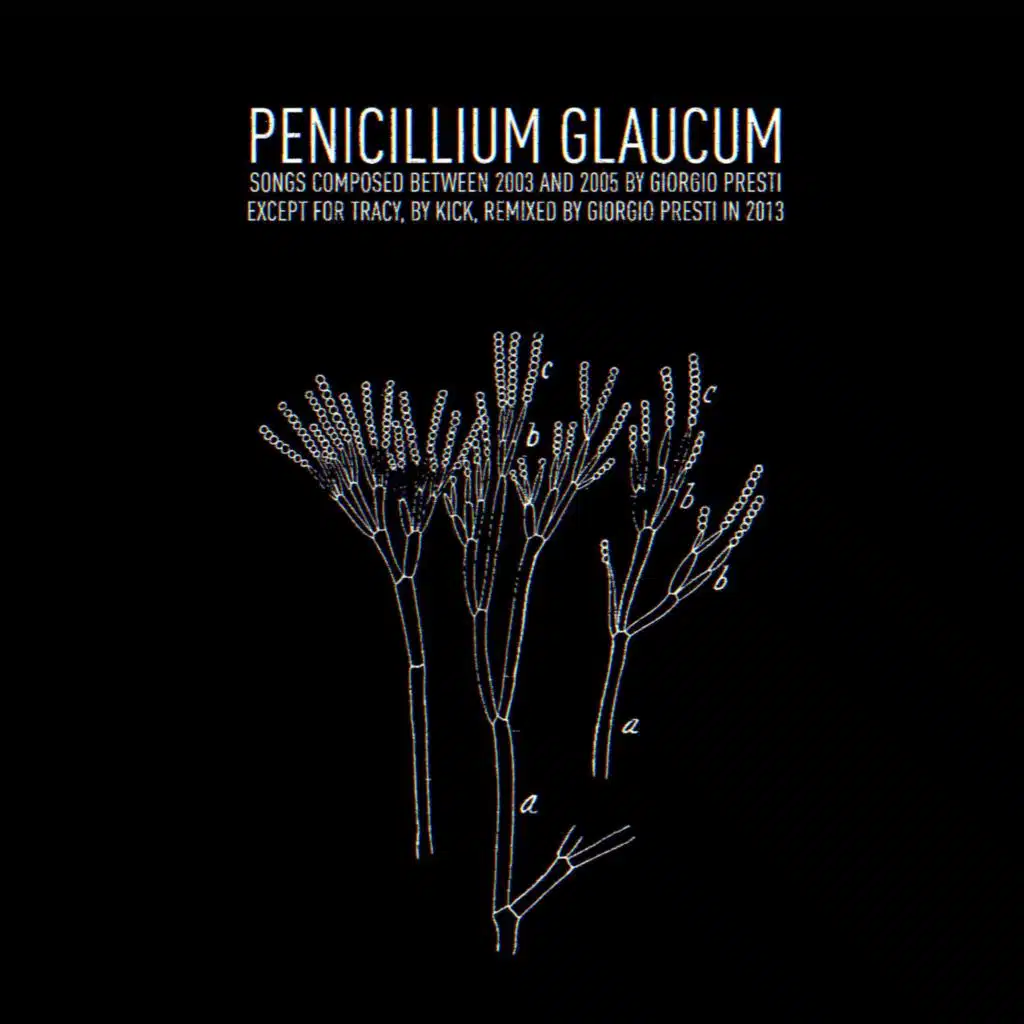 Sfasamenti Traslazioni