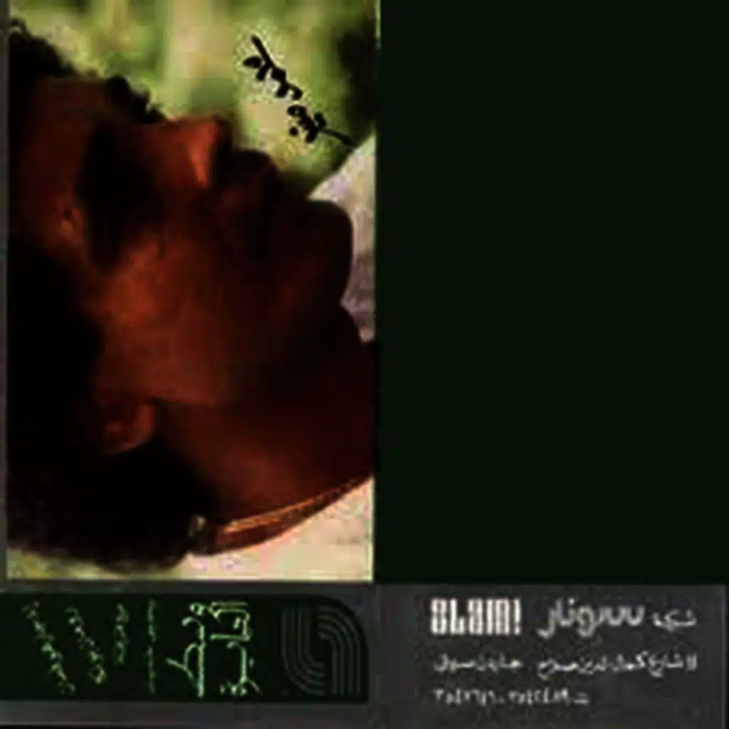 وسط الدايرة