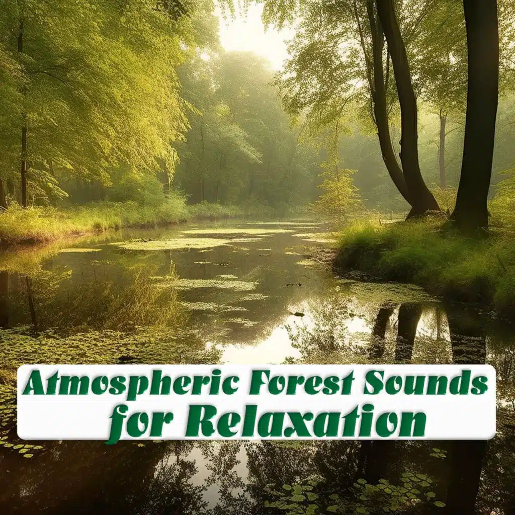 Atmospheric Forest Sounds for Relaxation