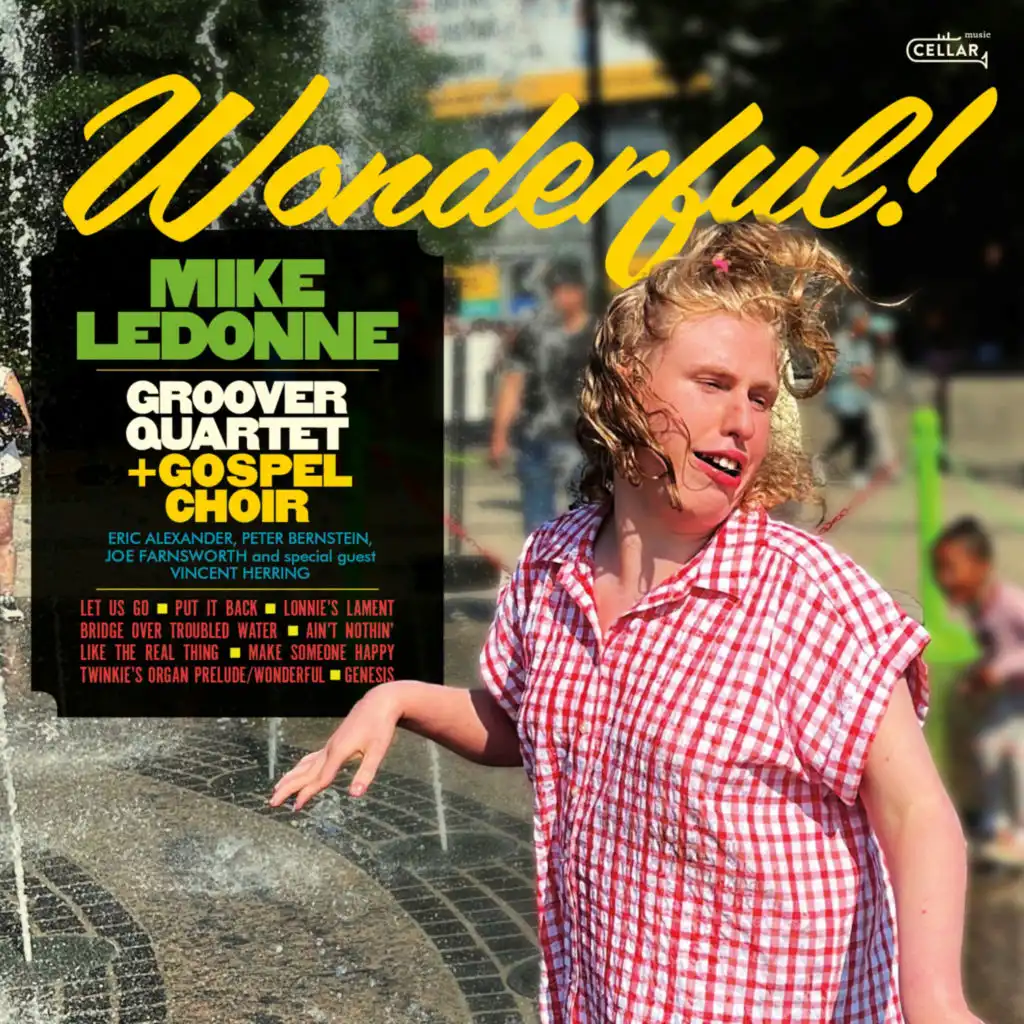 Wonderful (feat. Peter Bernstein)