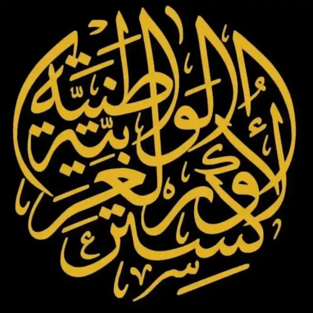 لا عيوني غريبة -  مهند مشلح