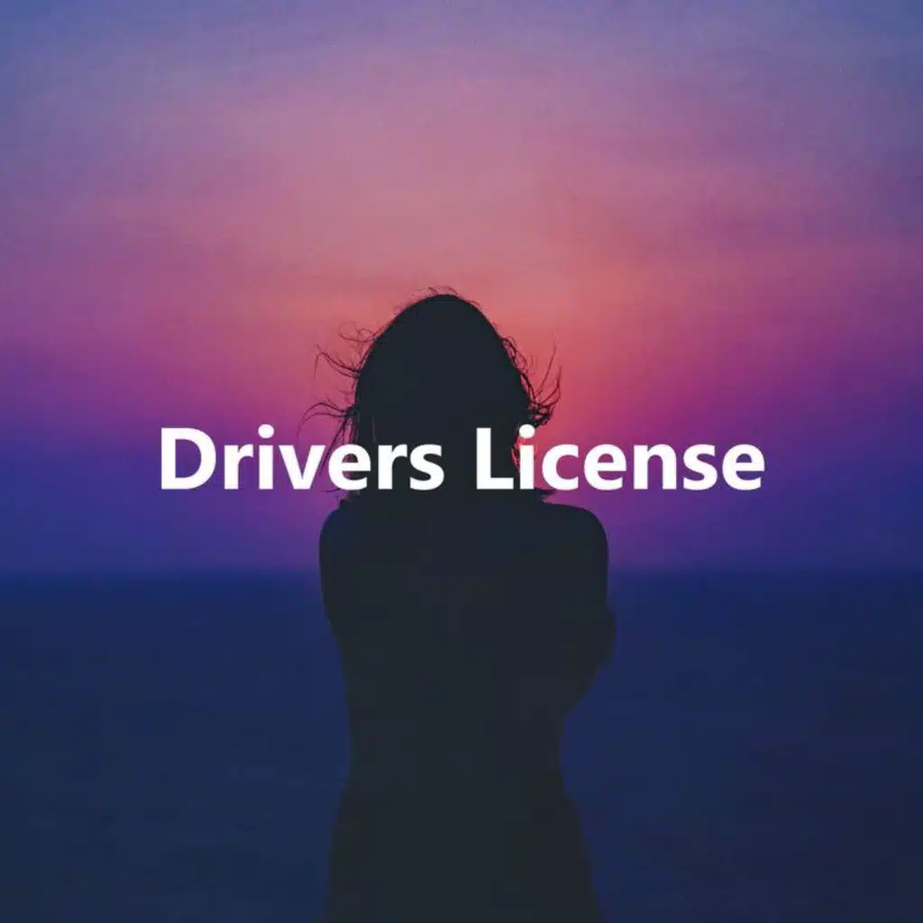 Drivers License