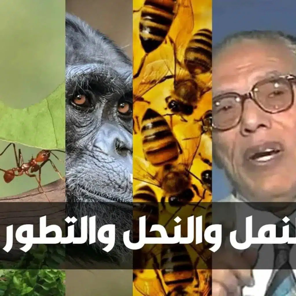 النمل والنحل و نظرية التطور | كتاب لغز الحياة | مصطفى محمود