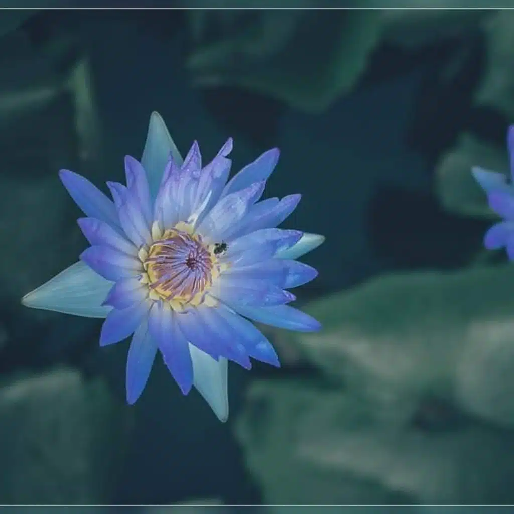 Share with my friend