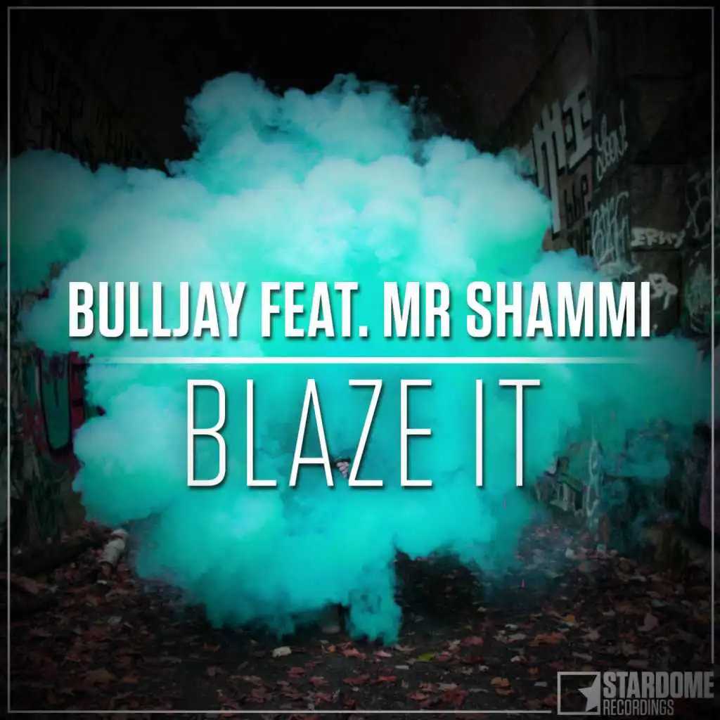 Blaze It (Hands Up Radio Edit) [feat. Mr. Shammi]