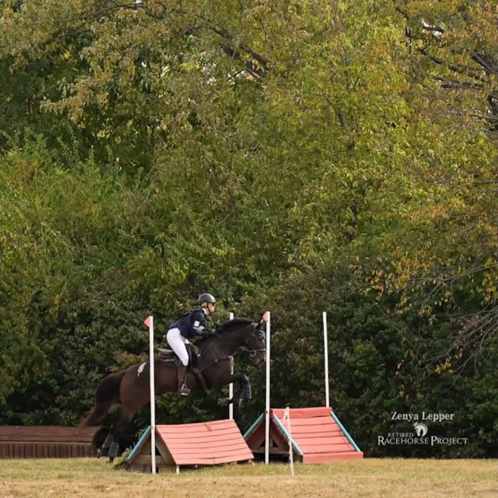 Mission Accomplished