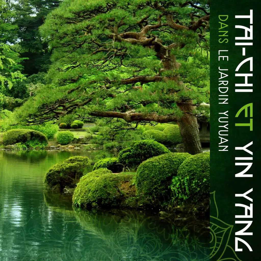 Tai-Chi et Yin Yang dans le jardin Yuyuan
