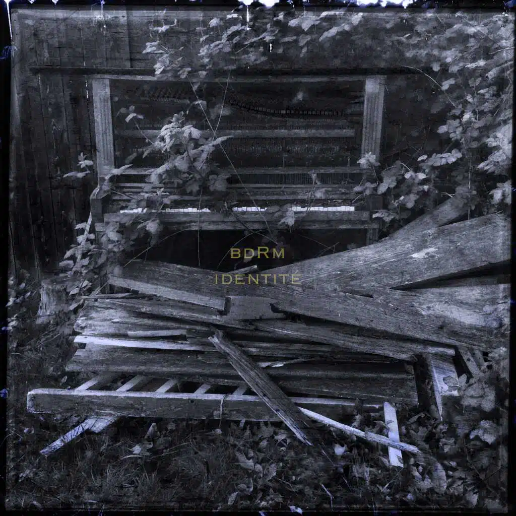 She Comes in Waves II