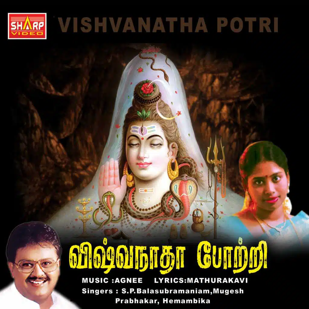 Viswanatha Potri