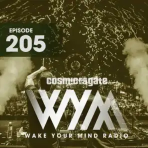 Like This Body Of Conflict (WYM205) (Cosmic Gate Mash Up)
