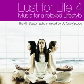 Lust for Life Vol.4 - Music For A Relaxed Lifestyle