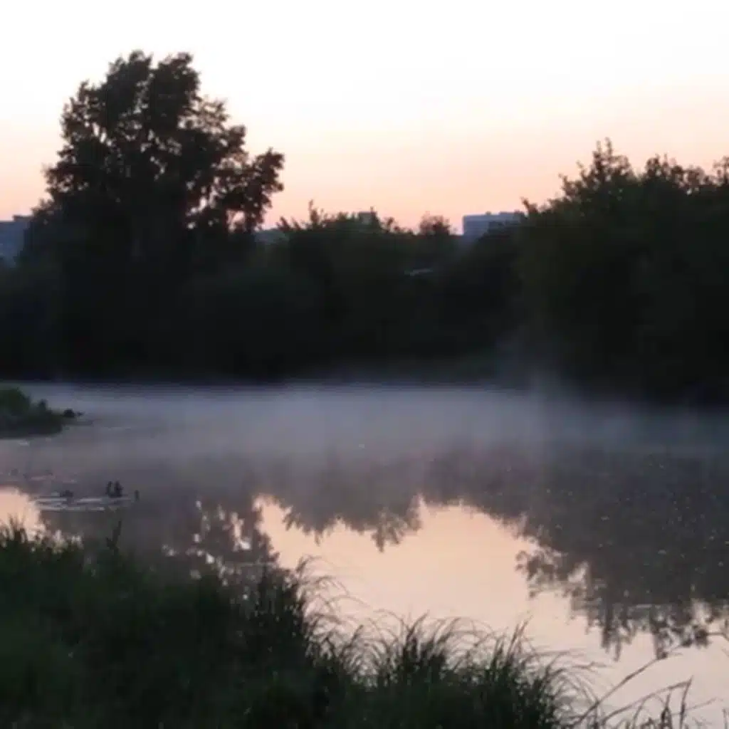 tengo miedo de quedarme solo, de no amar a nadie como te amé a ti.