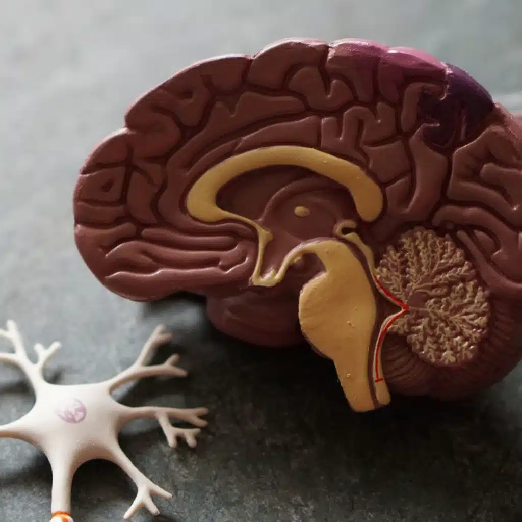 TWIW 217: Triglycerides lower risk of dementia by 18%