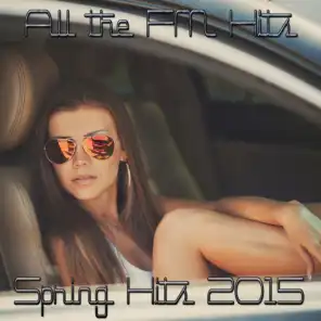 Spring Hits 2015 (All the FM Hits)