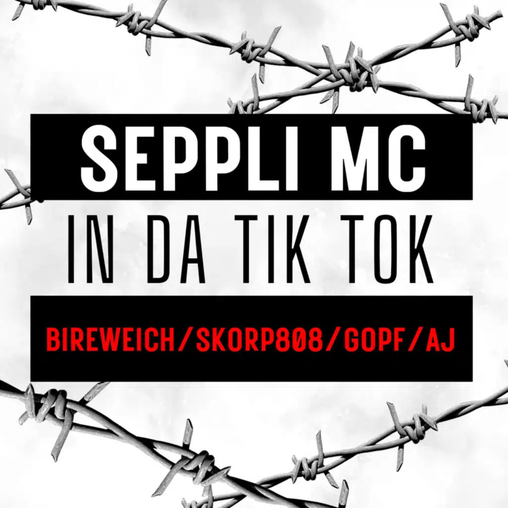 In da tik tok (feat. Bireweich, Skorp808, Gopf & Aj)