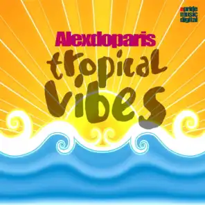 Tropical Vibes (Pierre Decastel Remix)