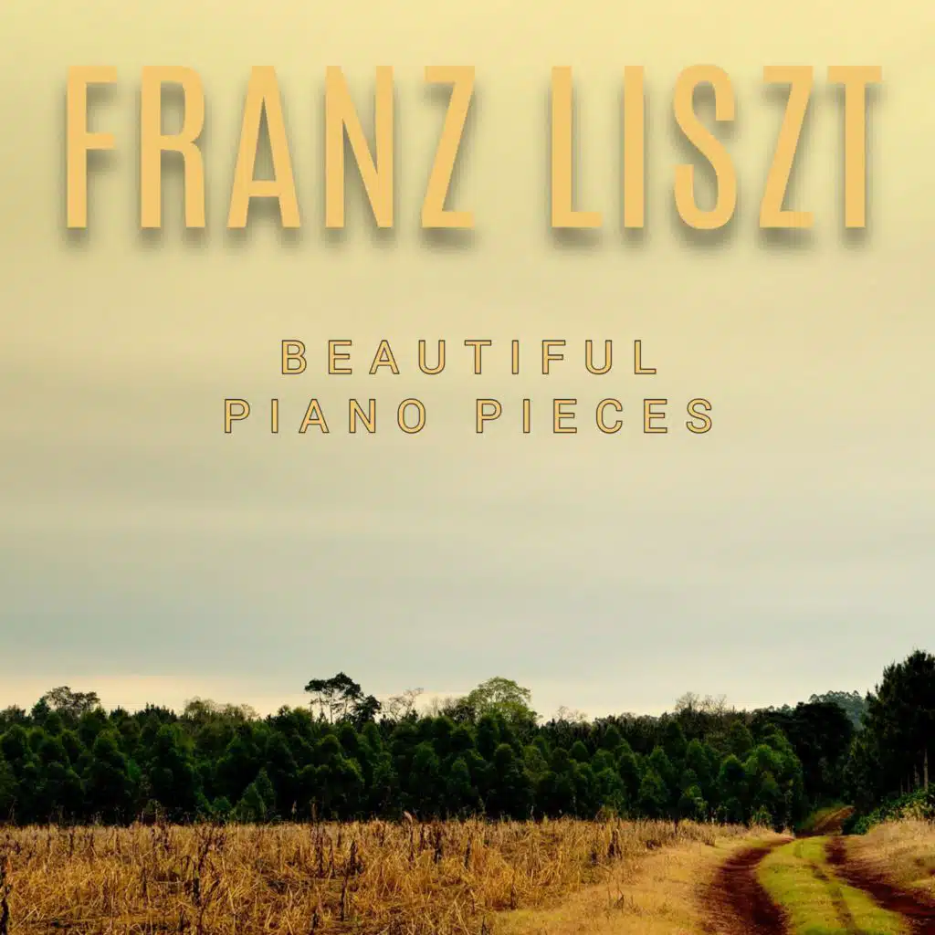 Franz Liszt - Beautiful Piano Pieces