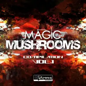 Magic Mushrooms Compilation, Vol. 1
