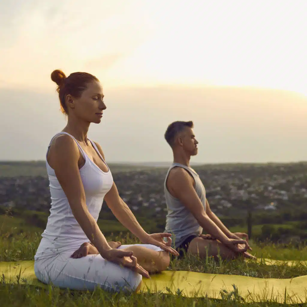 Nature Zen Dreams: Bird Song Meditations for Inner Harmony