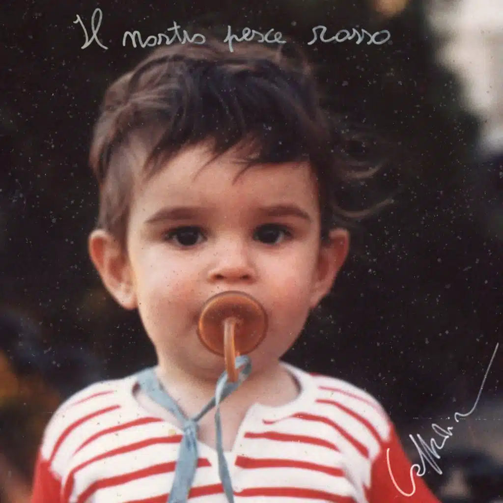 Il nostro pesce rosso