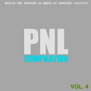 PNL Compilation, Vol. 4