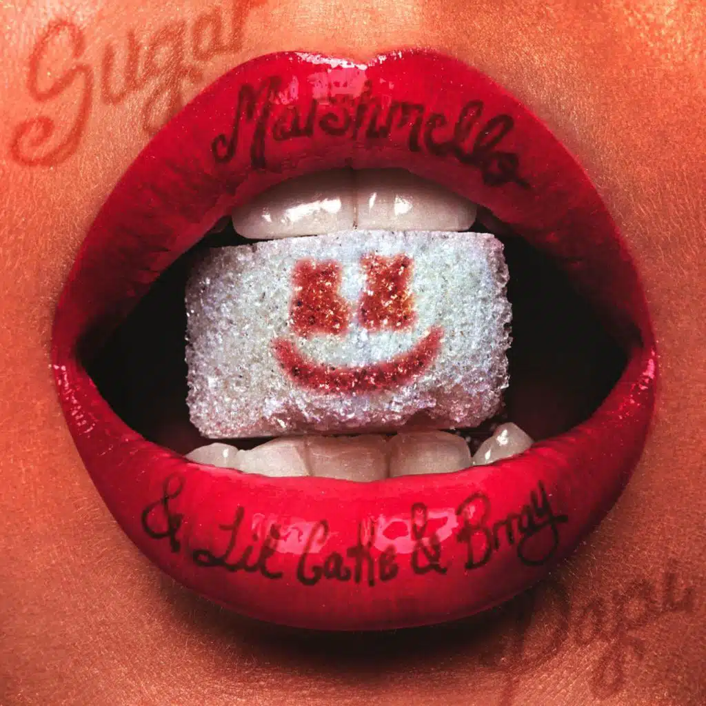 Marshmello, LiL CaKe & Brray