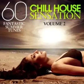 Chill House Sensation Vol. 02 (60 Fantastic Summer Tunes)