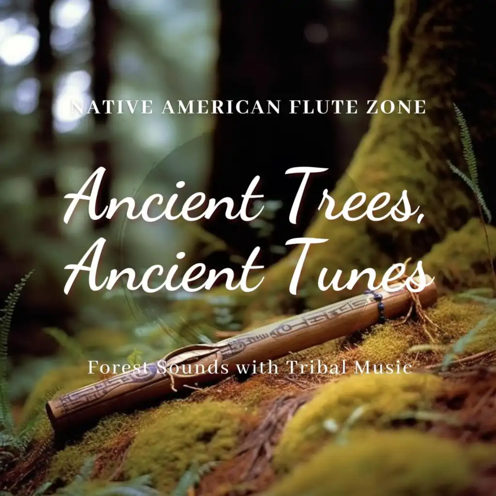 Ancient Trees, Ancient Tunes: Forest Sounds with Tribal Music