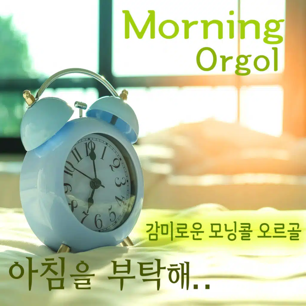 아침을 부탁해~ 감미로운 모닝콜 오르골