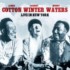 Muddy Waters, Johnny Winter & James Cotton