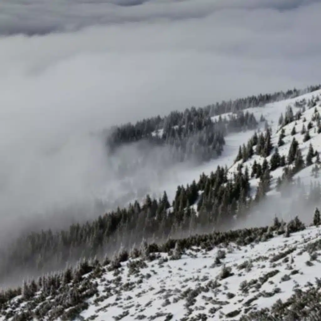 Winter Wind Sound for Sleep